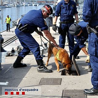 Entrevista al Sergent Victor de la unitat canina dels Mossos d'Esquadra