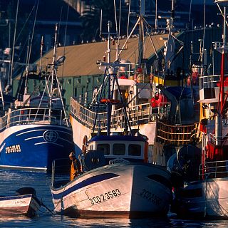 Españoles en la mar