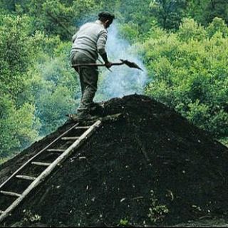 Recordamos oficios perdidos: el carbonero y carbón vegetal