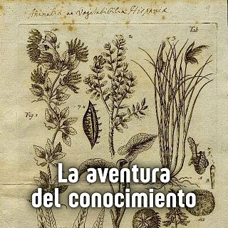 La aventura del conocimiento