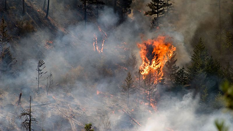 Lo mejor de la semana en REE - Cuidado porque a más calor, más peligro de incendios - 21/07/24 - Escuchar ahora