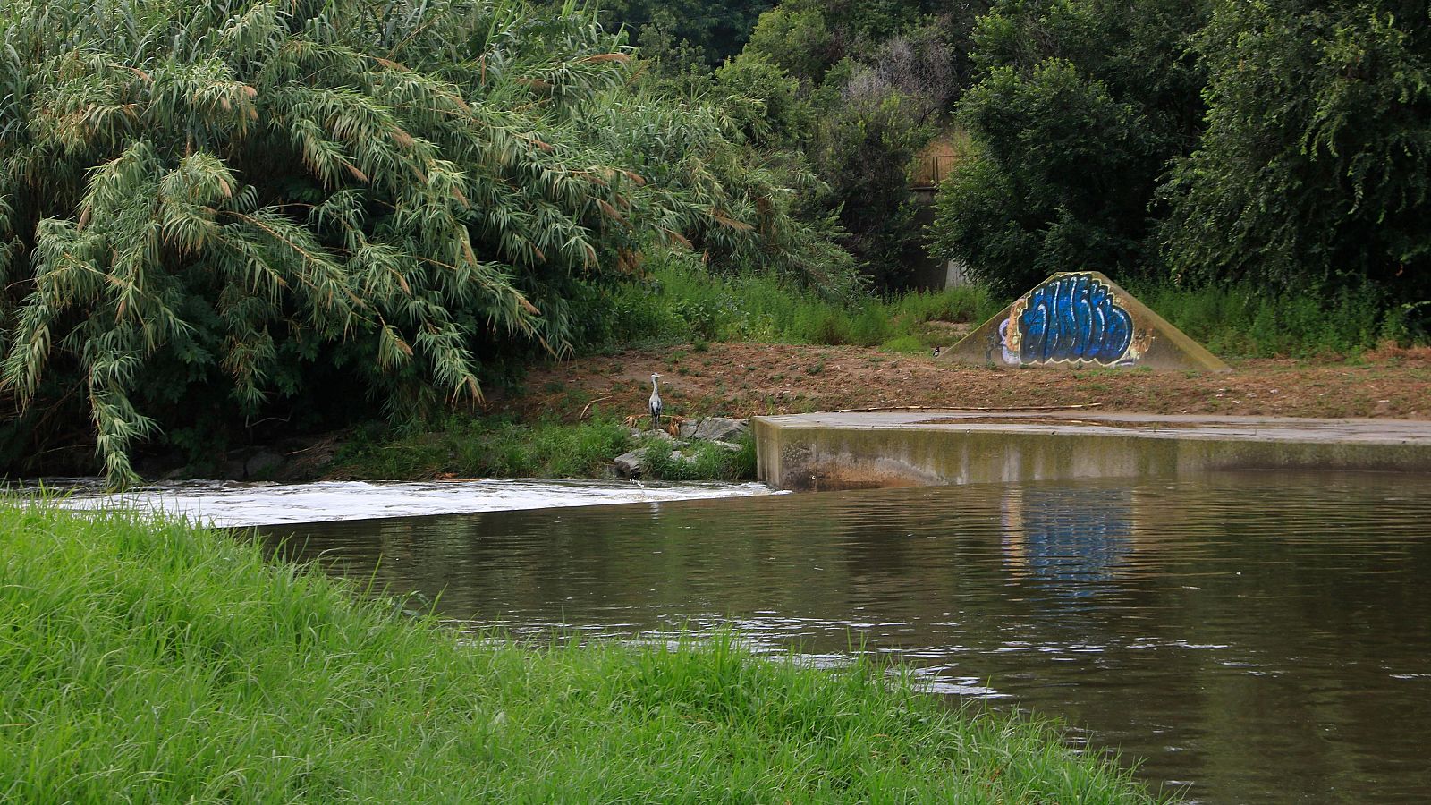 Un vessament de productes tòxics al riu Besòs obliga a prohibir el bany a les platges properes | Informa: CLARA ONTAÑÓN