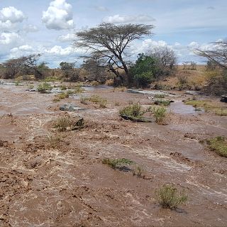 Lluvias torrenciales azotan a varios países africanos