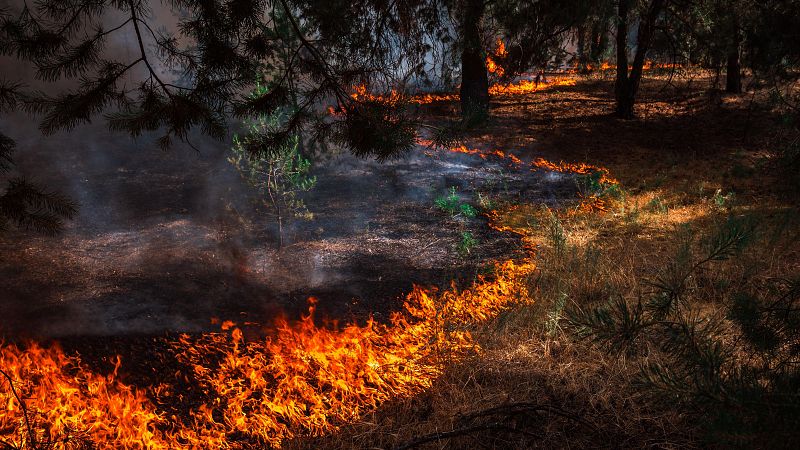 A golpe de bit en Radio 5 - Incendios: la constante del verano - 31/07/24 - escuchar ahora