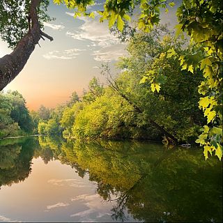 Reflejos en el agua