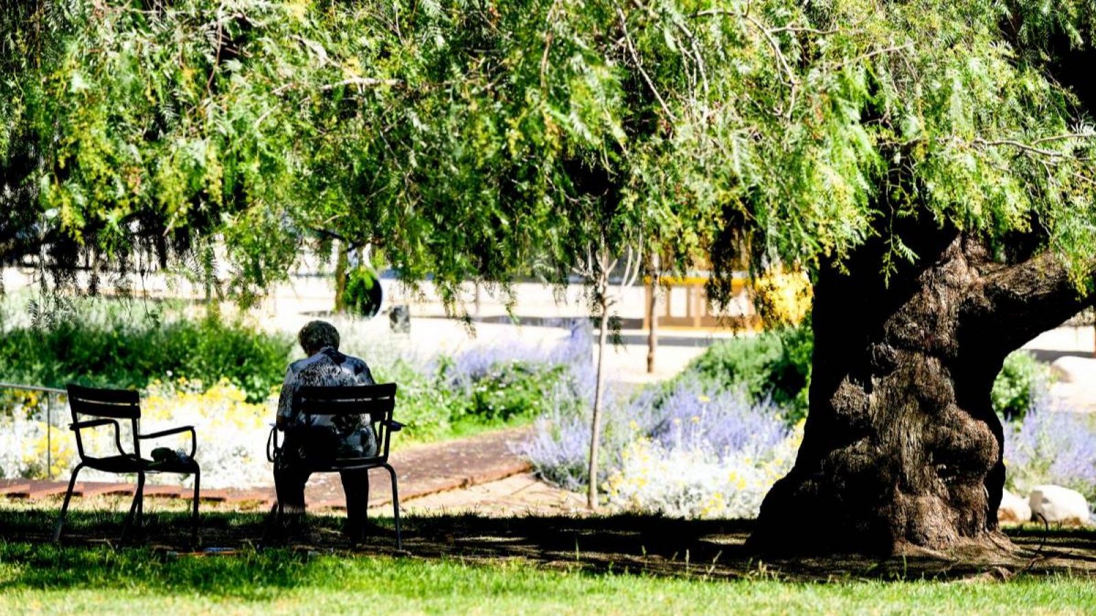 Reus aposta per zones verdes i paviments permeables per combatre la calor | Informa: JUDIT HUERTA