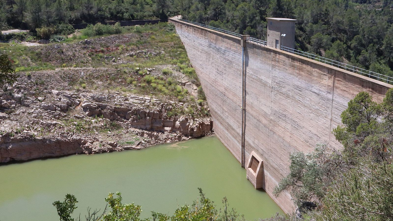 El Priorat és la comarca de Catalunya on menys ha plogut aquest any | JUDIT HUERTA