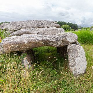 Planeta vivo