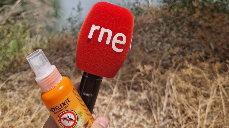 Reportajes emisoras - Sevilla - Virus del Nilo: la lucha contra el mosquito - 21/08/24 - Escuchar ahora