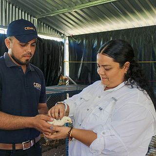 Hora América en Radio 5