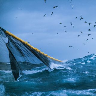 Españoles en la mar