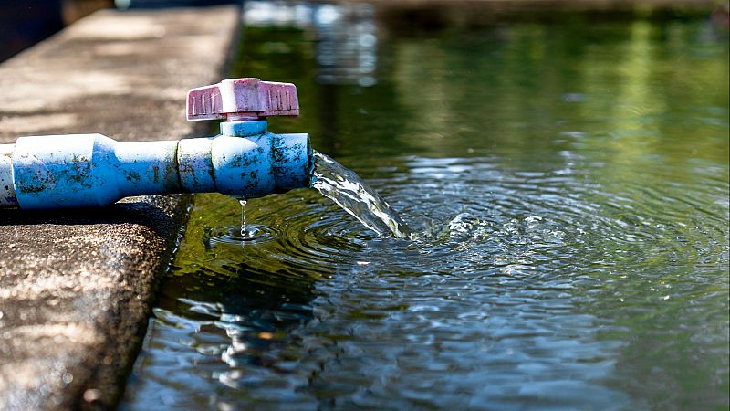 Las mañanas de RNE - Semana Mundial del Agua: ¿a qué retos se enfrenta España? - Escuchar ahora