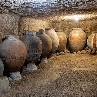 Bodegas y bodegos