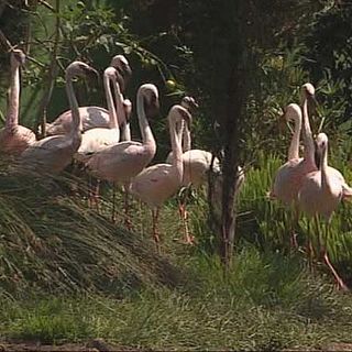 Naturaleza y diversin en el zoo de Santillana del Mar