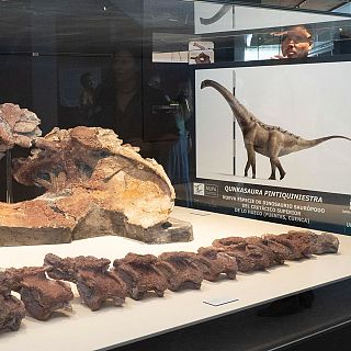 Hallan en Cuenca una nueva especie de dinosaurio