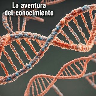 La aventura del conocimiento