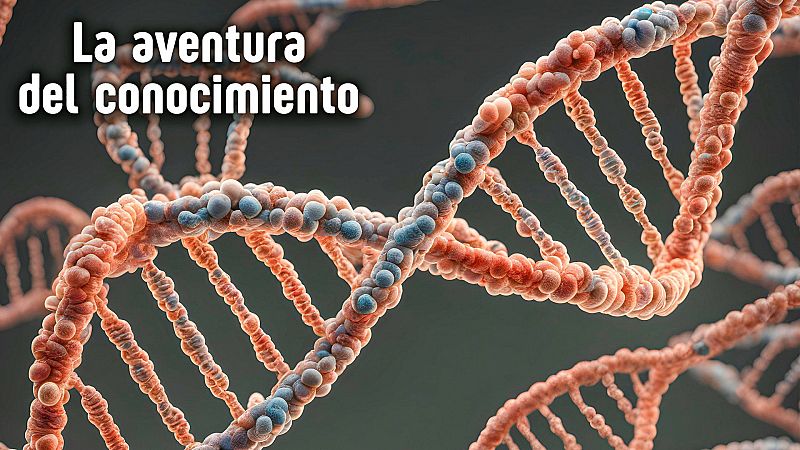 La aventura del conocimiento - Instituto de Biología Integrativa de Sistemas - Escuchar ahora