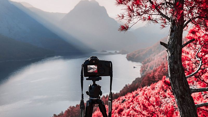 Atriles entre los árboles - El arte de fotografiar la Naturaleza - 08/09/24 - escuchar ahora