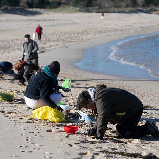 Unirse contra la 'basuraleza' en entornos marinos