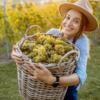 La cultura del vino en Radio 5