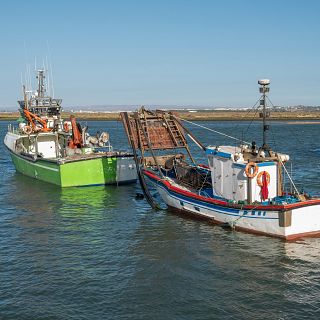 Españoles en la mar