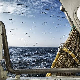 Españoles en la mar