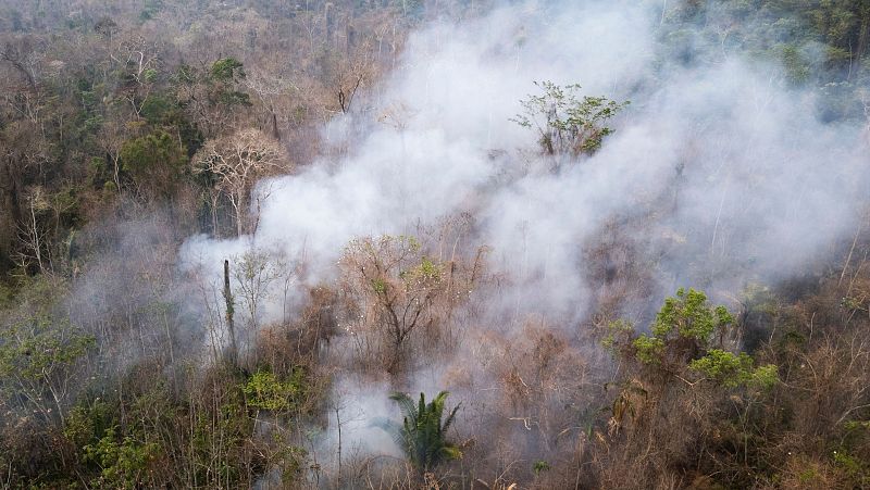 Cinco continentes - Aumentan los asesinatos de defensores medioambientales - Escuchar ahora