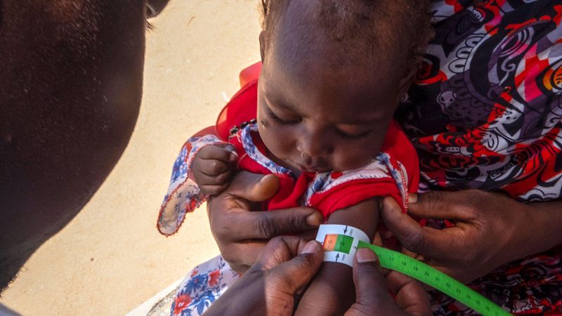 África hoy - Sudán, miles de niños pueden morir en los próximos meses - 16/09/24 - escuchar ahora