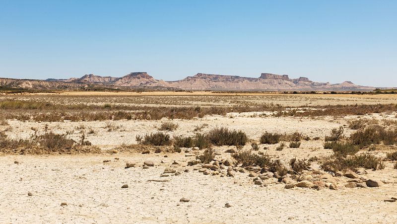 Vida verde - España será una estepa en 2050 - 21/09/24 - escuchar ahora