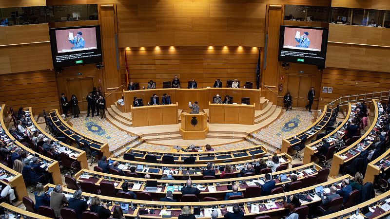 Parlamento - Pleno maratoniano en el Senado - 13/01/24 - Escuchar ahora