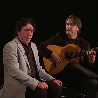 Nuestro flamenco