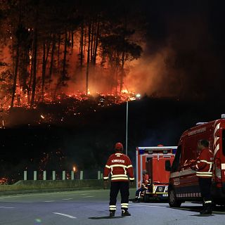 Las posibles causas de los devastadores incendios en Portugal