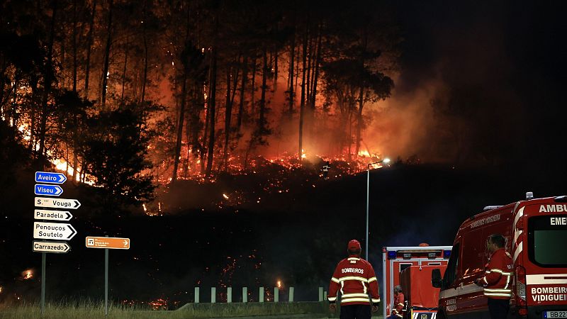 Las Mañanas de RNE con Josep Cuní - Las posibles causas de los devastadores incendios en Portugal: vientos elevados y la vegetación - Escuchar ahora