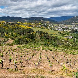 Un país de vino