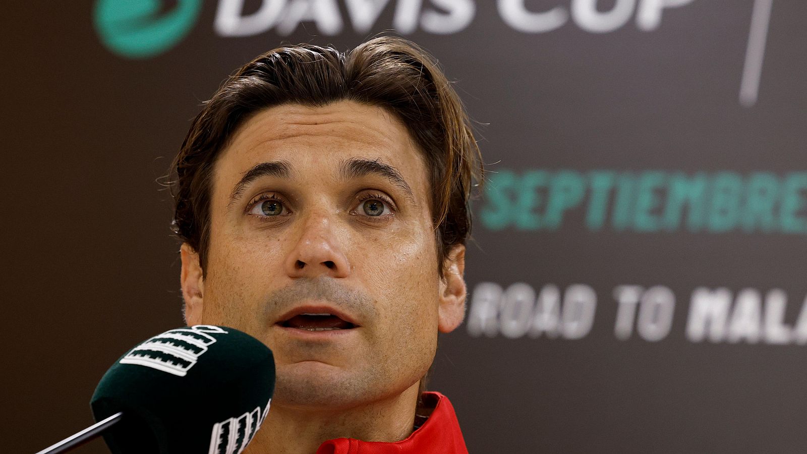 Radiogaceta de los deportes - David Ferrer: "Rafa Nadal está ilusionado por jugar la Copa Davis" - Escuchar ahora