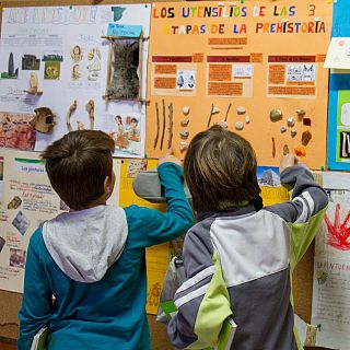 Inclusin en la escuela, la columna vertebral de la educacin