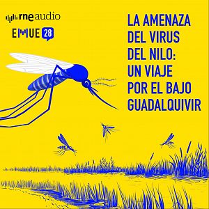 Esto merece una explicación - Esto merece una explicación - La amenaza del virus del Nilo: un viaje por el bajo Guadalquivir - Escuchar ahora