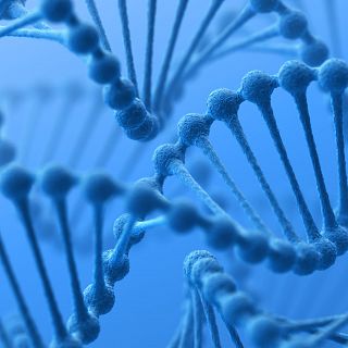 Descifrada la gen�tica del yacimiento de Trevi�o