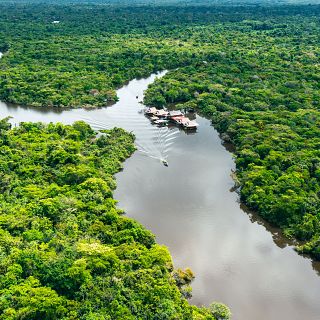 En la selva de Perú