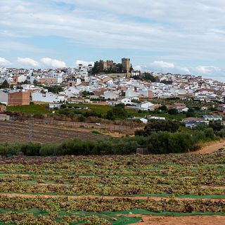 Un país de vino