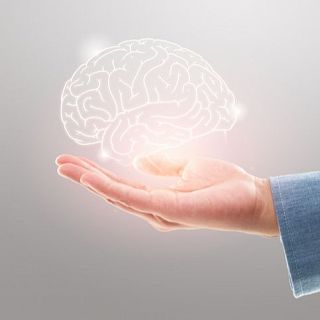 Dec�logo para mantener un cerebro saludable