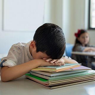 Los trastornos  del neurodesarrollo detr�s del fracaso escolar