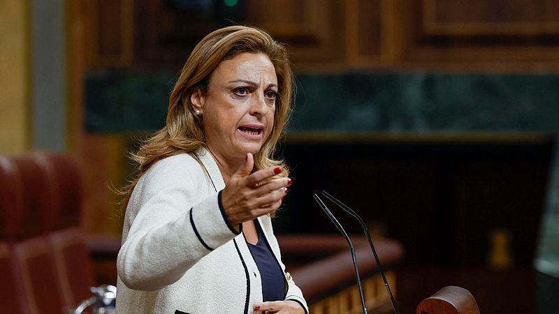 Parlamento RNE - Cristina Valido: "Si la reforma de la Ley de Extranjería no sale, el Gobierno tiene que actuar" - Escuchar Ahora