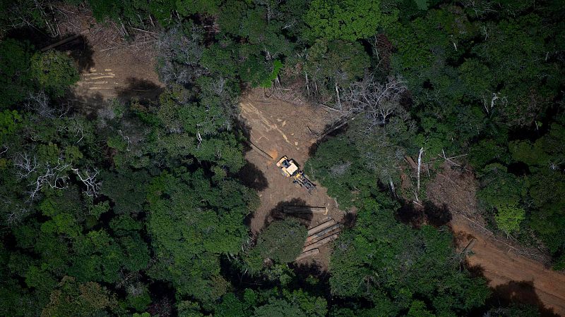 Cinco continentes - El cambio climático reduce la fauna salvaje un 73% en 50 años - Escuchar ahora