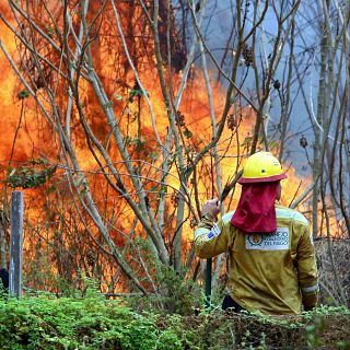 Millones de hectáreas devastadas por el fuego en Bolivia