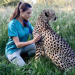 Fabiola Quesada, una veterinaria en Sudáfrica