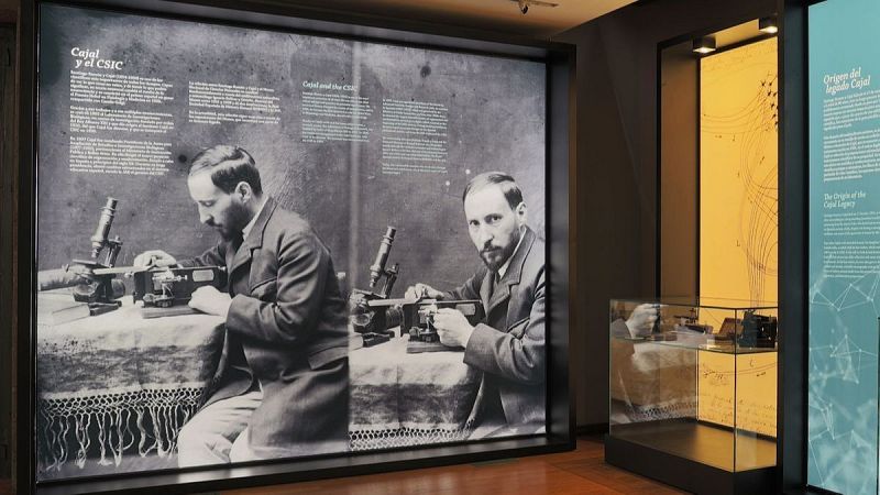 Educar para la paz - Santiago Ramón y Cajal: ciencia, arte y educación - 19/10/2024 - Escuchar ahora