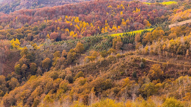 En clave Turismo - Colores de otoo en los bosques del Pas Vasco - 22/10/24 - escuchar ahora