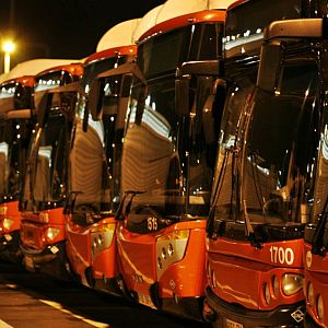 Memoria de delfín - Memoria de delfín - El autobús: un sector en auge con 3.000 millones de viajeros anuales - Escuchar ahora