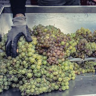 La cultura del vino en Radio 5